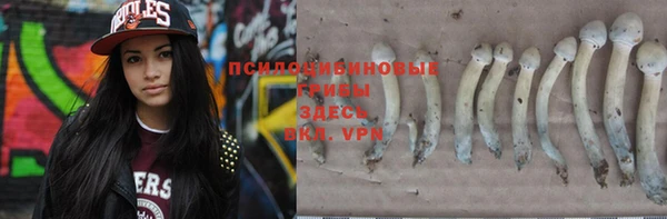 сатива Балабаново