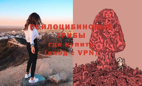 ALPHA-PVP Баксан