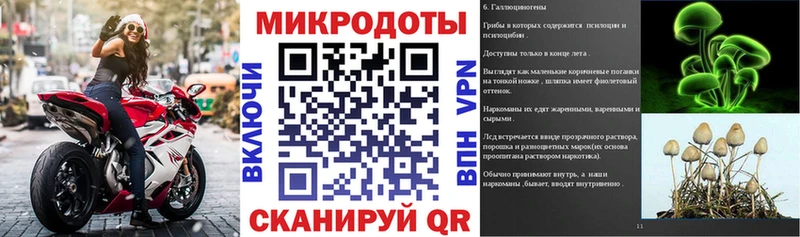 Галлюциногенные грибы MAGIC MUSHROOMS Лермонтов